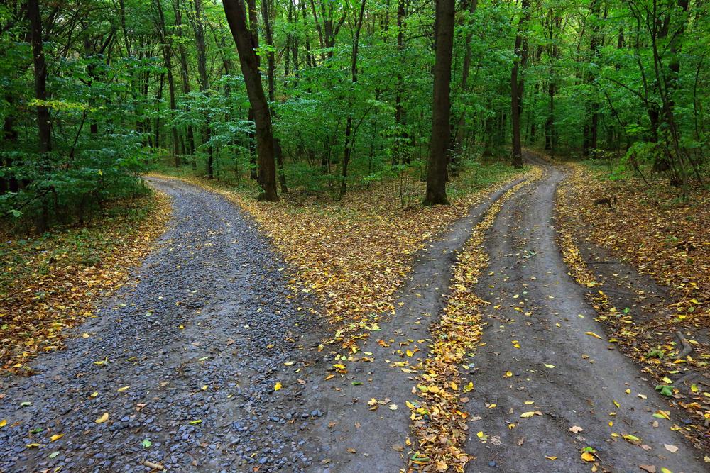 The Road Not Taken J V Bruni And Company   Road M Shutterstock 330775343 